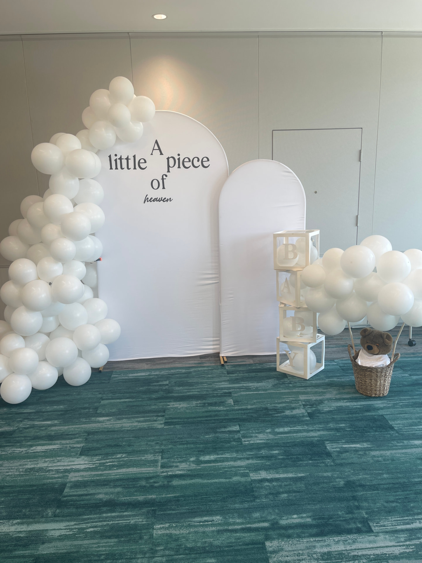 Themed Party Backdrops rentals from Dreamwell Events