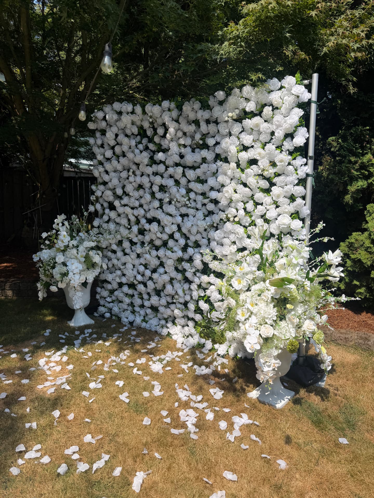 Backdrops rentals from Dreamwell Events