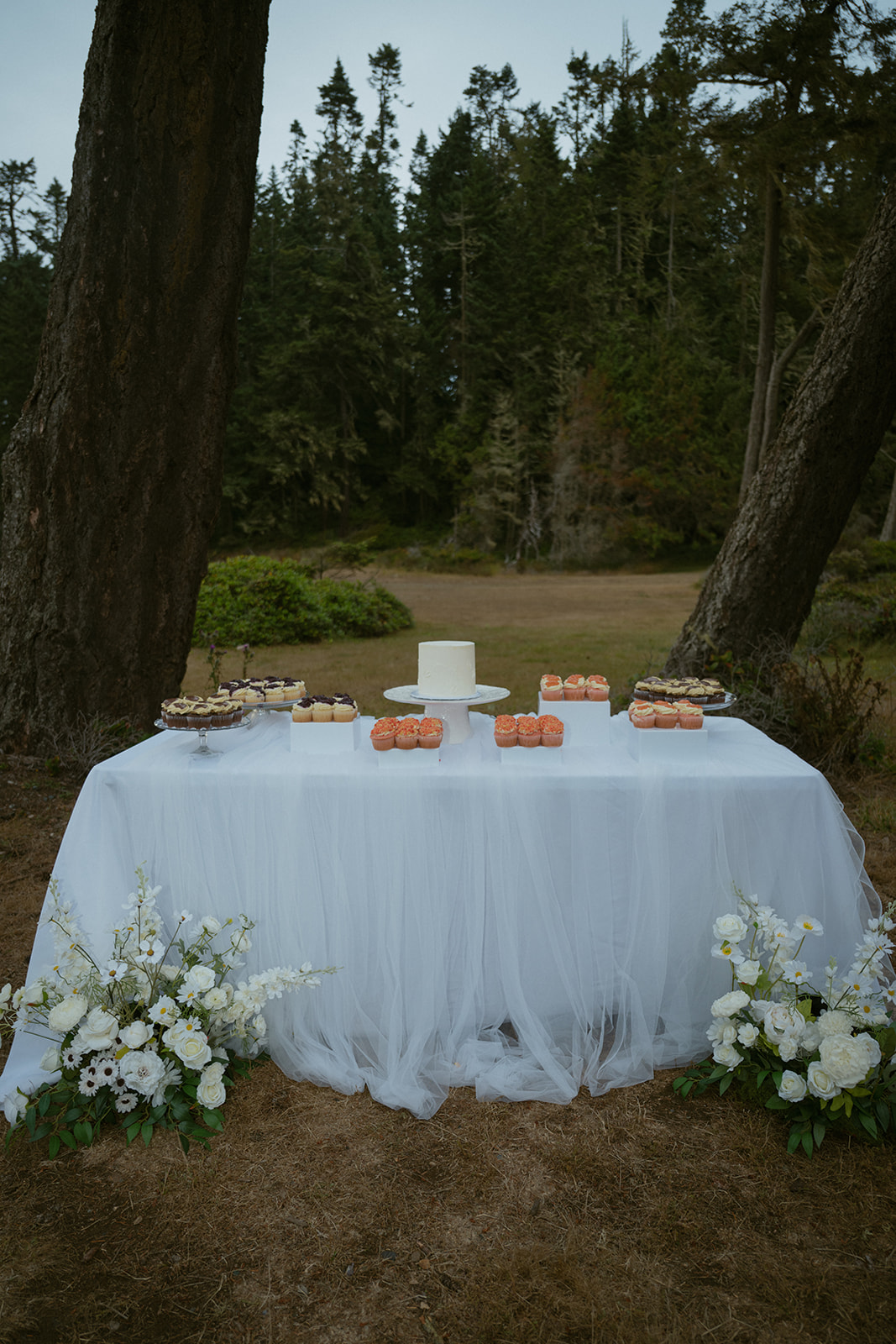 Catriana wedding celebration